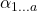 \alpha_{1...a}