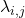 \lambda_{i,j}